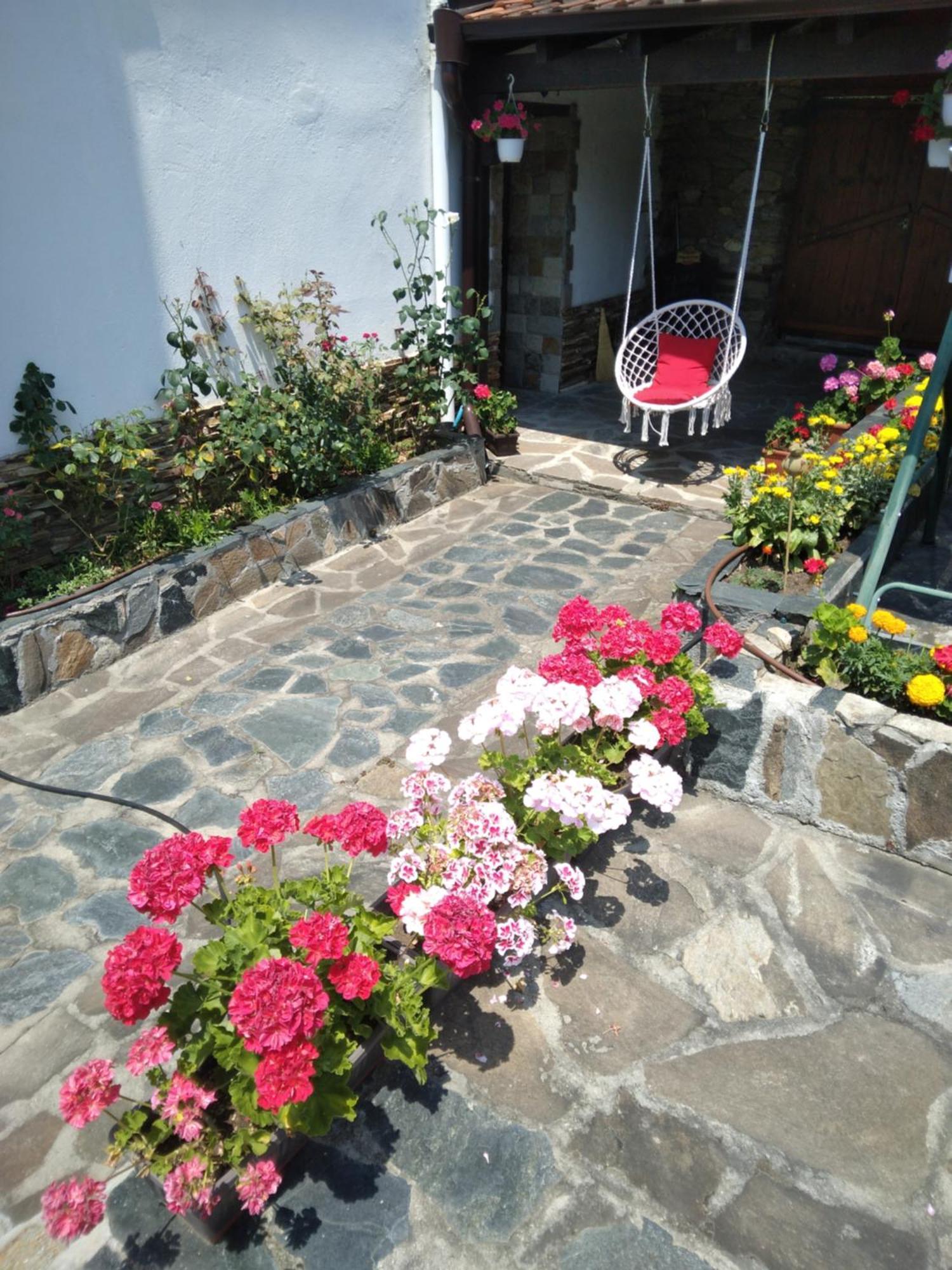 Guest House Popov Marchevo Bagian luar foto